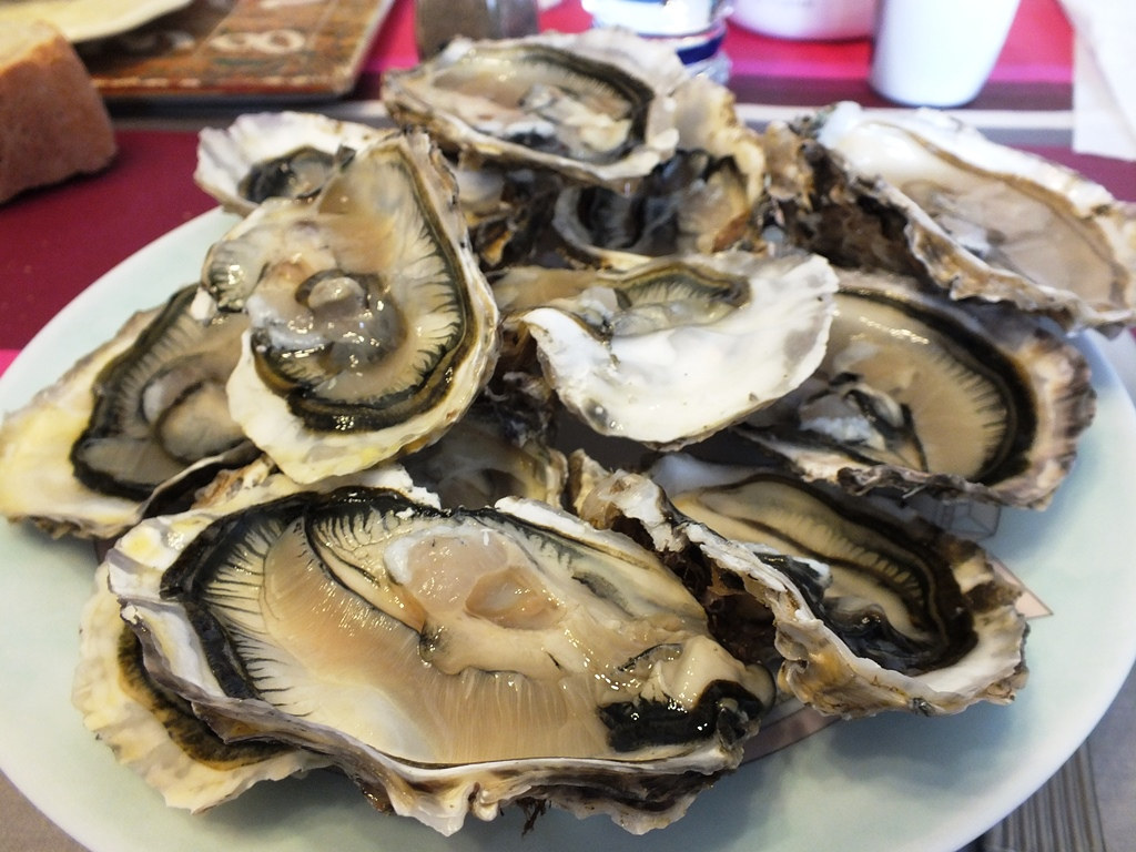 French Raw Oysters